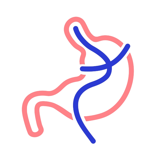 Icono de Bypass gástrico
