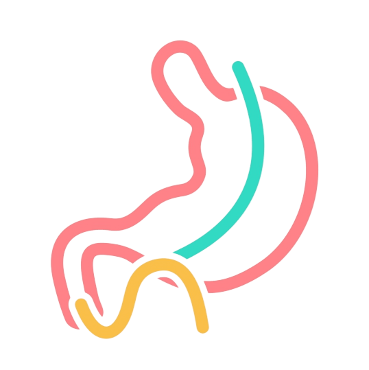 Icono de Bipartición del tránsito intestinal
